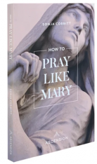 How to Pray Like Mary [Book]